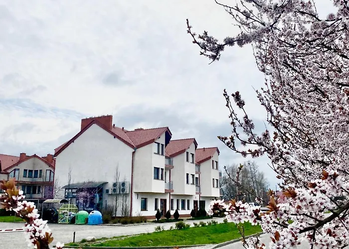 アパート Apartament N°17 ダルウフコ